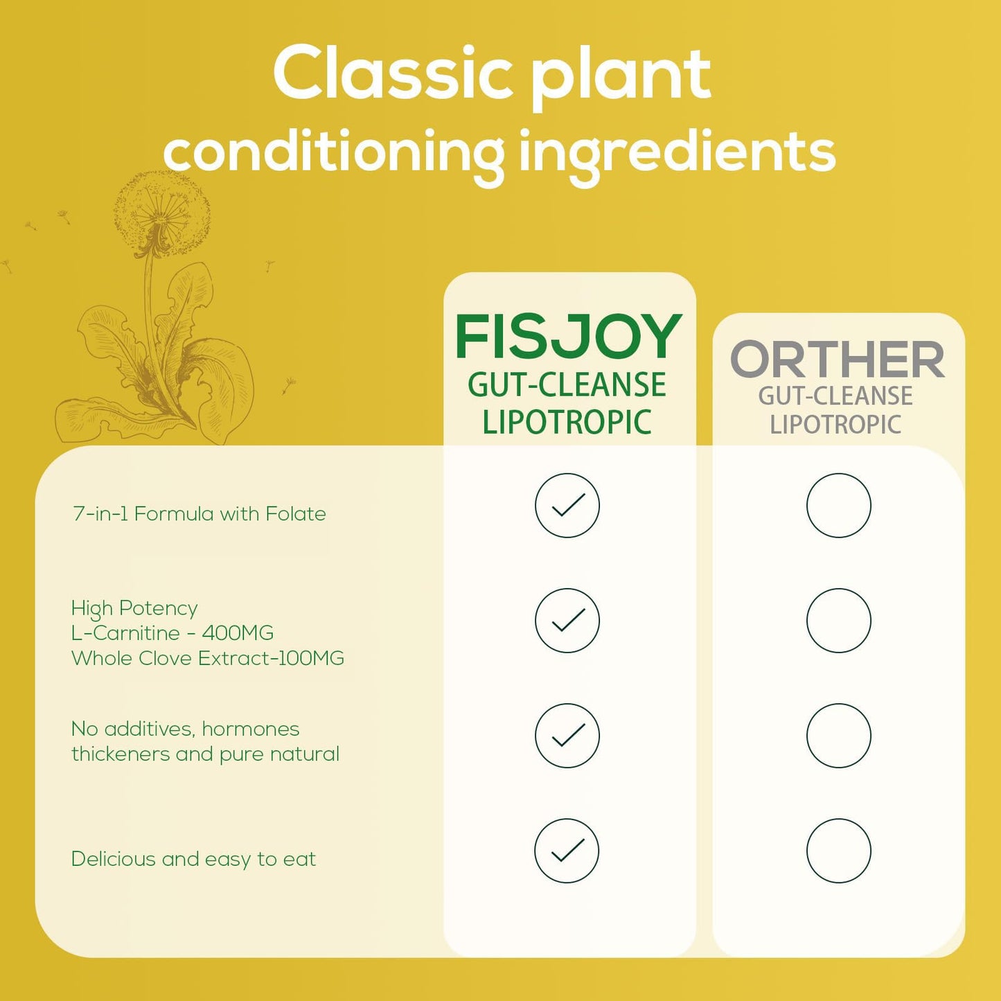 Fisjoy L-Carnitine & Herbal Liquid Drops – Gentle Daily Digestive Support with Pumpkin Seed, Clove & PAU D’Arco Extracts, Folate & Chromium, Vegan, Sugar-Free, 2 fl oz (60 mL) FisjoyBuy Supplements Australia