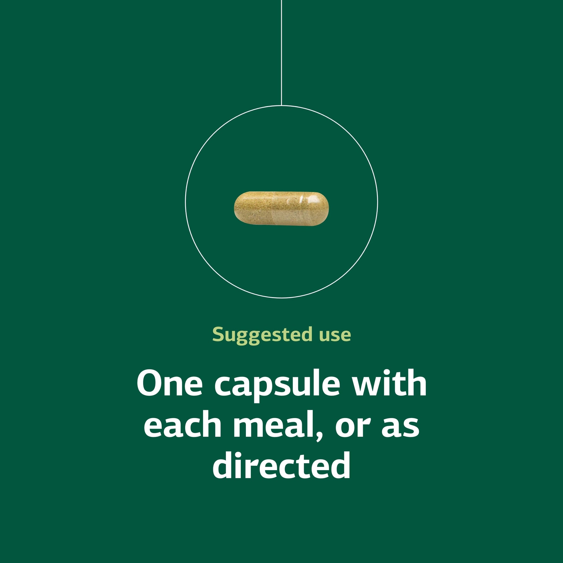 Standard Process Ostarplex - Dietary Supplement for Connective Tissue Health - Aids Liver Health & Function - Contains Vitamin B6 - Non-Dairy - 90 Capsules (90 Servings) Standard Process Inc.Buy Supplements Australia