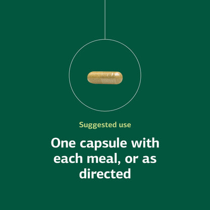 Standard Process Ostarplex - Dietary Supplement for Connective Tissue Health - Aids Liver Health & Function - Contains Vitamin B6 - Non-Dairy - 90 Capsules (90 Servings) Standard Process Inc.Buy Supplements Australia