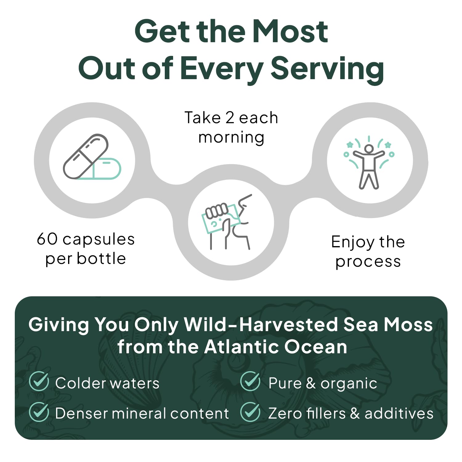 Organics Ocean Wild Sea Moss Capsules - 100% Organic Irish Sea Moss with Organic Chlorella, Bladderwrack and Vitamin D for Energy, Lung Health and Thyroid Support for Women and Men - 60 Capsules Organics OceanBuy Supplements Australia
