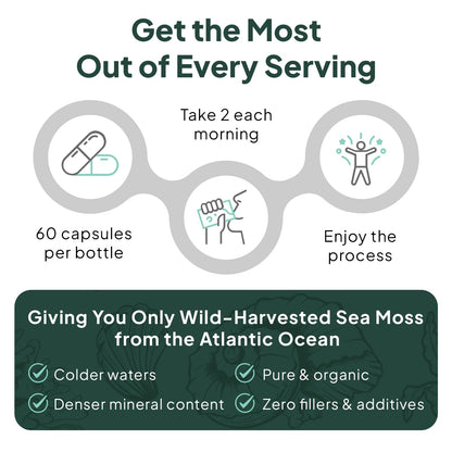 Organics Ocean Wild Sea Moss Capsules - 100% Organic Irish Sea Moss with Organic Chlorella, Bladderwrack and Vitamin D for Energy, Lung Health and Thyroid Support for Women and Men - 60 Capsules Organics OceanBuy Supplements Australia
