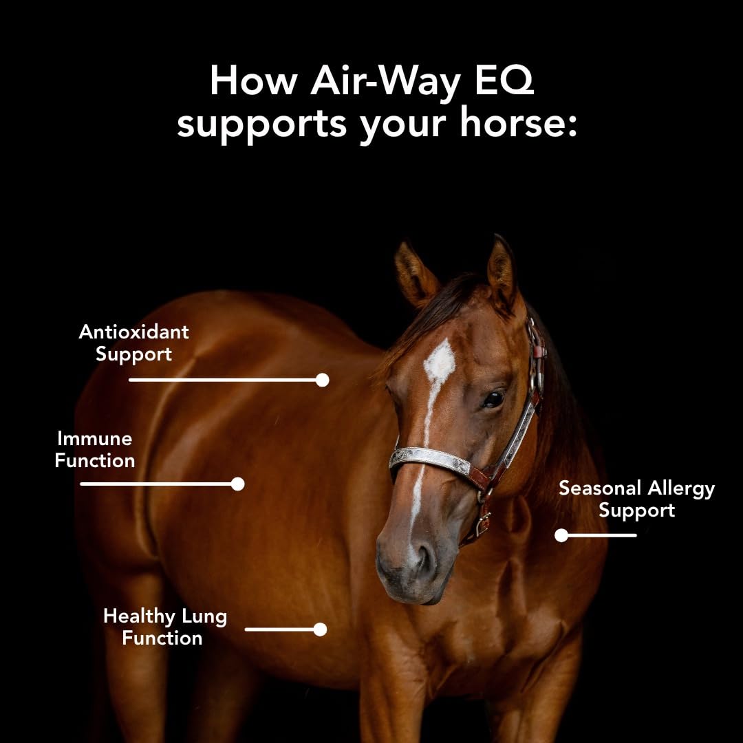 MVP Air-Way EQ Supports Healthy Lung Function and Seasonal Allergy Support in Horses, 5lb - 40 Servings MVPBuy Supplements Australia