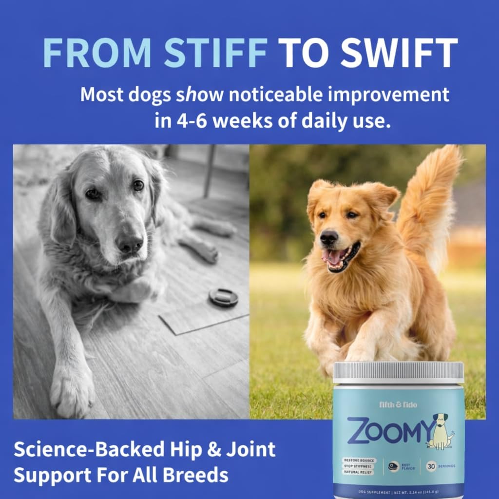 Fifth & Fido Joint Supplement for Dogs - Glucosamine for Dogs - Pet Vitamins and Supplements Powder with Chondroitin & MSM - Hip & Joint Support for Mobility, Stiffness & Flexibility - Mushroom Blend Fifth & FidoBuy Supplements Australia