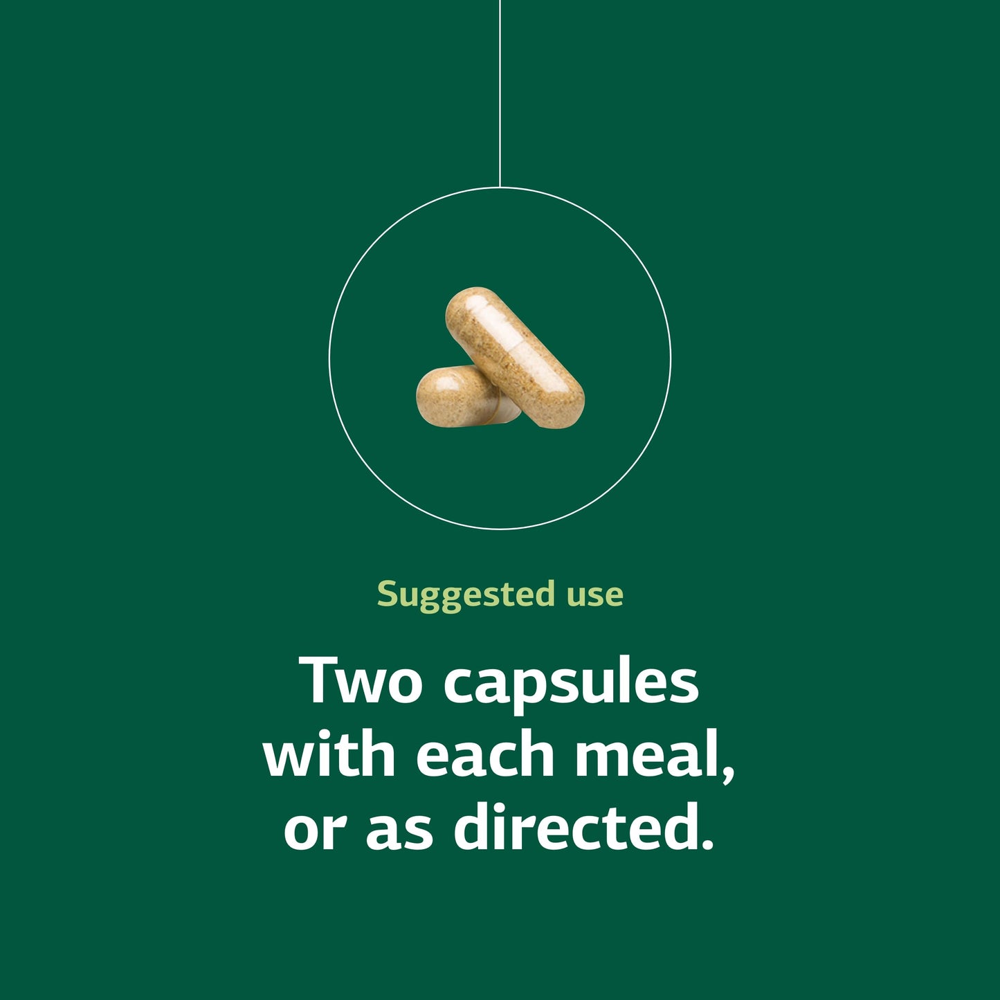 Standard Process Senaplex - Nervous System Support with Niacin, Vitamin B12 & B6 - Supports Brain Health & Cellular Health - Offers Antioxidant Activity - Non-Dairy - 90 Capsules (45 Servings) Standard Process Inc.Buy Supplements Australia