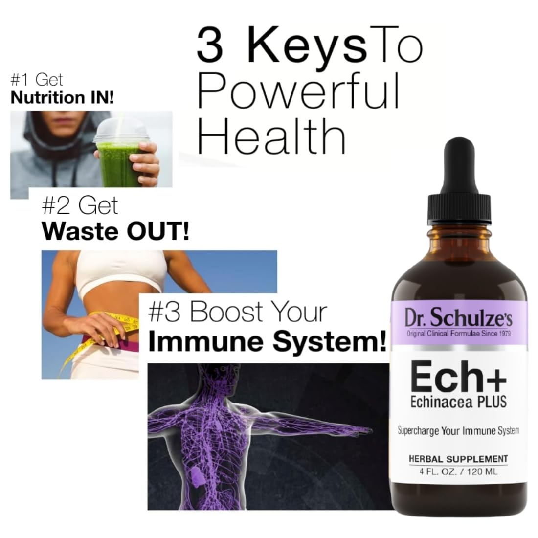 Dr. Schulze's Echinacea Plus | Echinacea Root and Seed | All Organic Extract | Gluten-Free Dr. Schulze'sBuy Supplements Australia