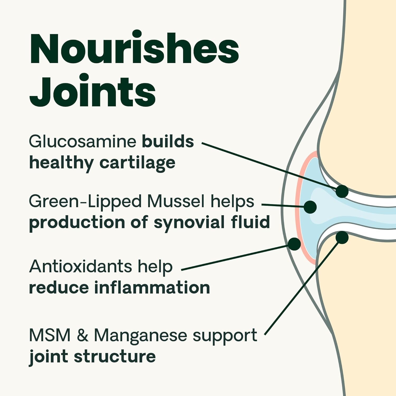 VetriScience Ultimate Strength Healthy Hip & Joint Chews, GlycoFlex Glucosamine, Chondroitin and Green-Lipped Mussel Joint Support Supplement for Dogs, Soothe Joint Discomfort, Duck, 120 Count VETRISCIENCEBuy Supplements Australia