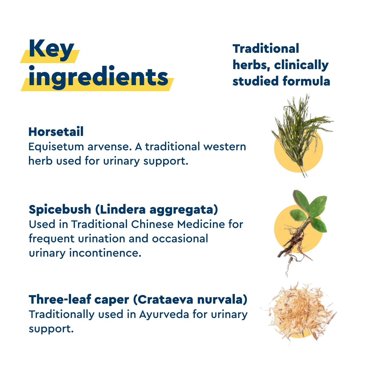 Uqora in Control Bladder Support - Daily Bladder Care & Support for Urinary Comfort - Made with botanicals, Like Horsetail & Spicebush - Gluten-Free & Vegetarian - 60 Capsules UqoraBuy Supplements Australia