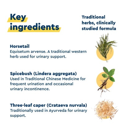 Uqora in Control Bladder Support - Daily Bladder Care & Support for Urinary Comfort - Made with botanicals, Like Horsetail & Spicebush - Gluten-Free & Vegetarian - 60 Capsules UqoraBuy Supplements Australia