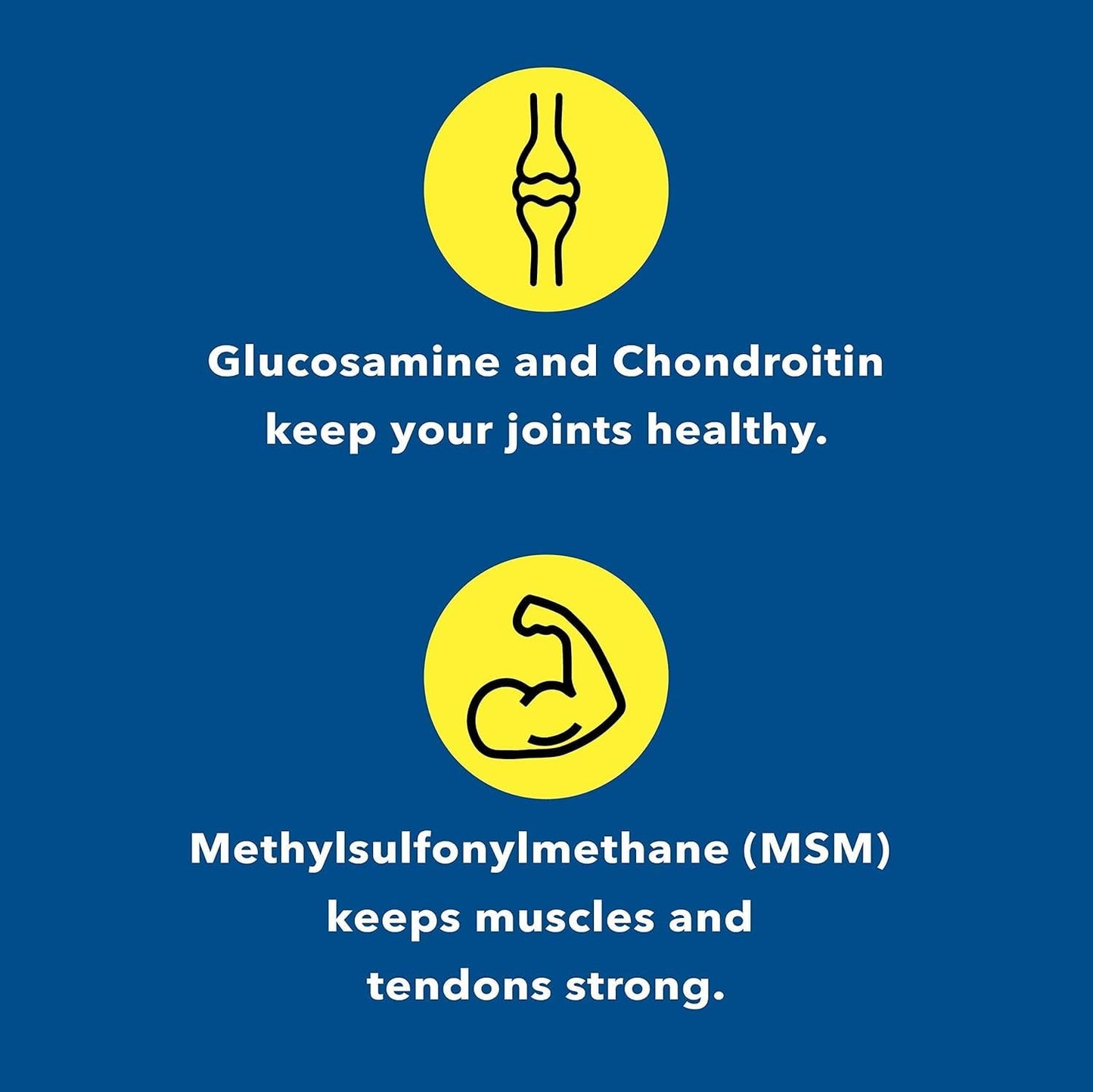Healthy Joints System Glucosamine Chondroitin MSM Supplement for Joint & Bone Health - 120 Capsules | Joint Support & Discomfort Relief for Back, Knees, Hands Healthy Joints SystemBuy Supplements Australia