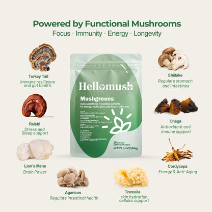 Hellomush Super Greens Powder Superfood, Daily Green Powder Supplement with Probiotics Drink Mix for Men & Women, Blend of Greens, Mushrooms, Vitamins, Probiotics and Cellular Nutrients HellomushBuy Supplements Australia
