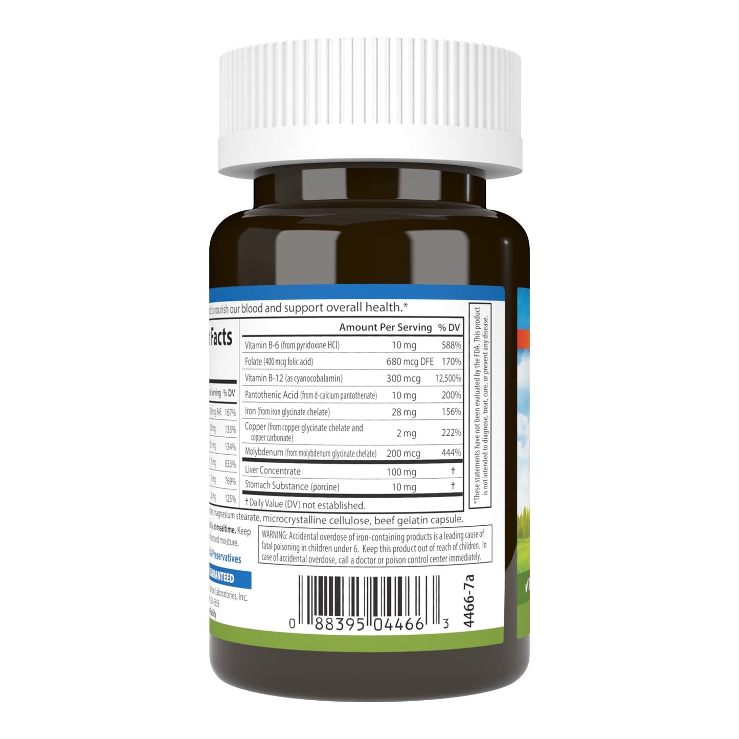 Carlson - Blood Nutrients, 28 mg Iron, Blood Development, Iron Absorption & Optimal Wellness, 40 Capsules CarlsonBuy Supplements Australia