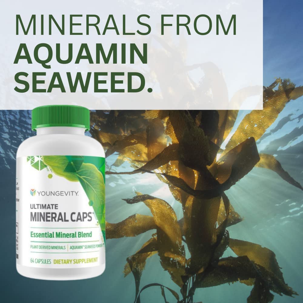 Youngevity Ultimate Mineral Caps™ - 70+ Essential Full Spectrum Trace Minerals - Nutrient-Dense, Derived from Humic & Aquamin Seaweed (64 Capsule) YoungevityBuy Supplements Australia