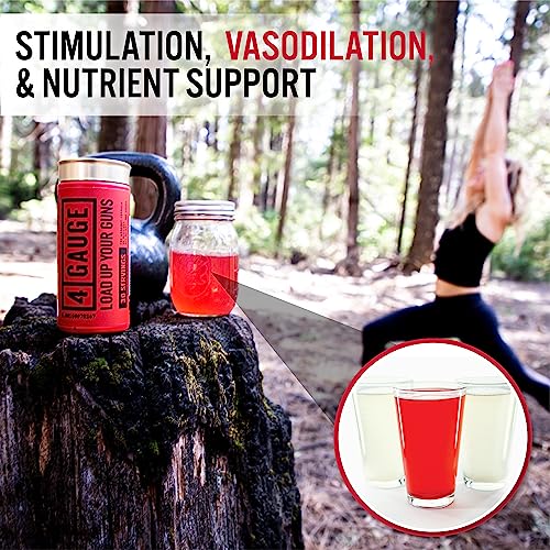 4 Gauge Natural Preworkout Without The Jitters | 30 Servings | Nitric Oxide Booster 4 GaugeBuy Supplements Australia