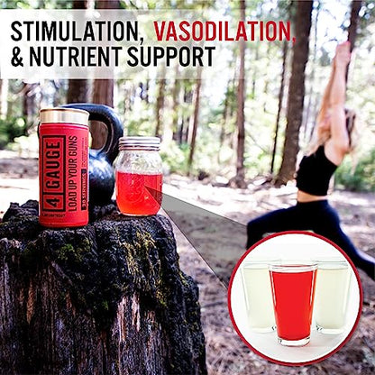 4 Gauge Natural Preworkout Without The Jitters | 30 Servings | Nitric Oxide Booster 4 GaugeBuy Supplements Australia