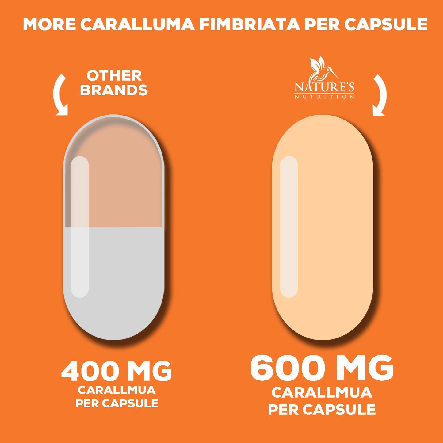 Pure Caralluma Fimbriata Extract Highly Concentrated 1200mg - Natural Endurance Support Nature's NutritionBuy Supplements Australia