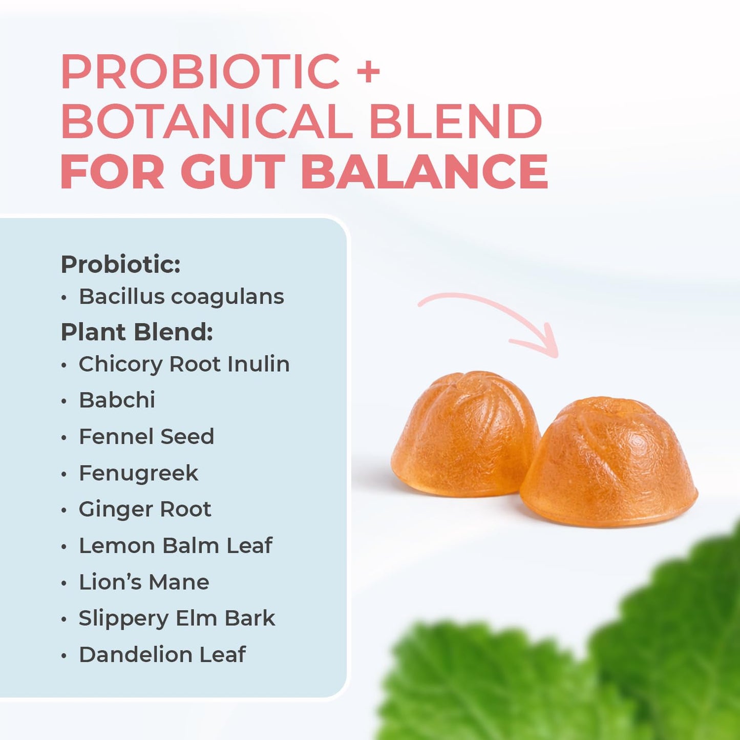 Nature’s NutriWave PrimeBiome Probiotic Gummies – Plant-Based Blend with Inulin, Lion’s Mane, Ginger & More– Non-GMO, No Stimulants,