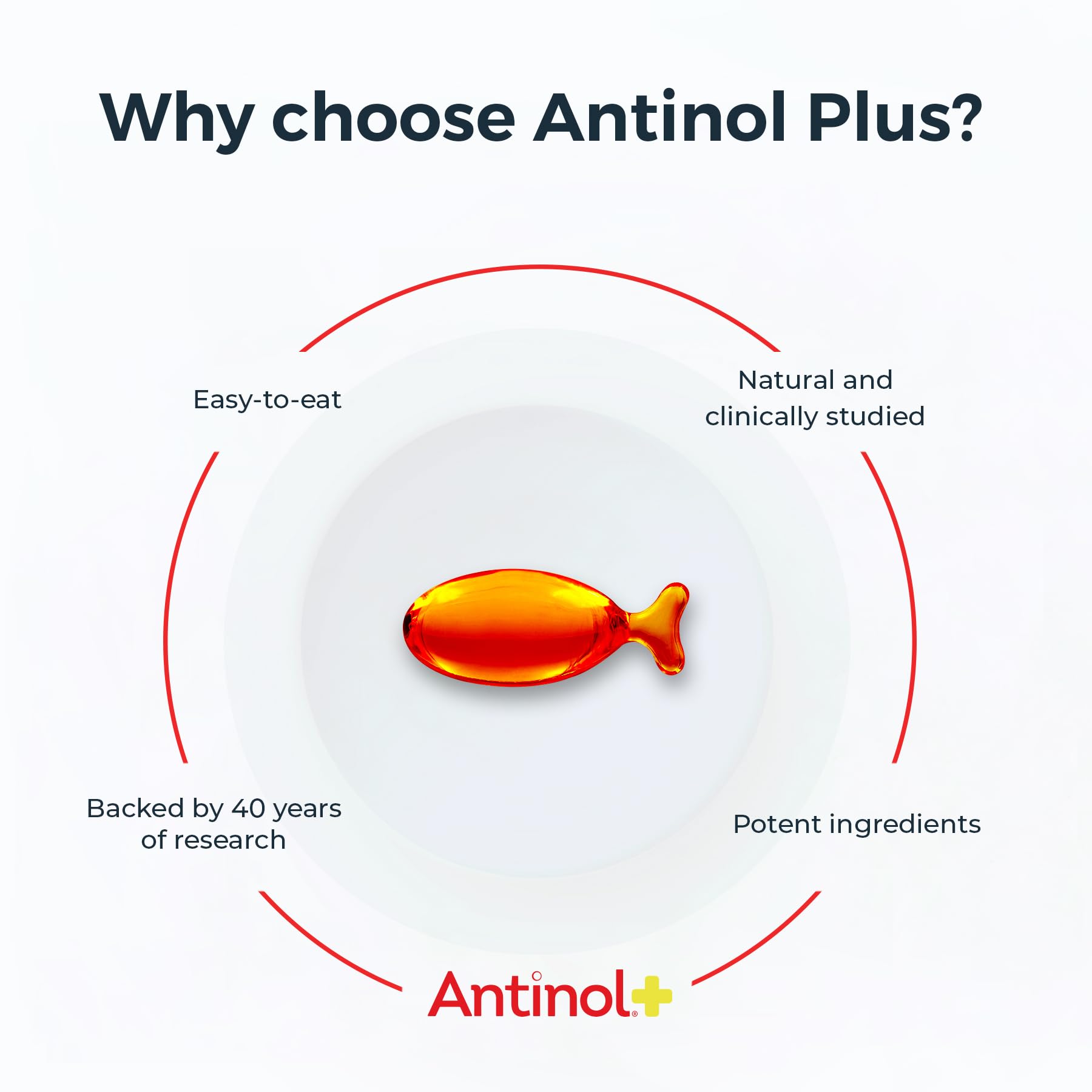 Antinol Plus, Mobility, Hip, and Joint Supplement for Cats, Green-Lipped Mussels and Krill Oil - Cat Joint Supplement, 60 Soft Gels AntinolBuy Supplements Australia