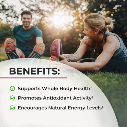 Beet Root Powder - Beets Superfood Supplement with Vitamin C Plus Organic Antioxidant BioSchwartzBuy Supplements Australia
