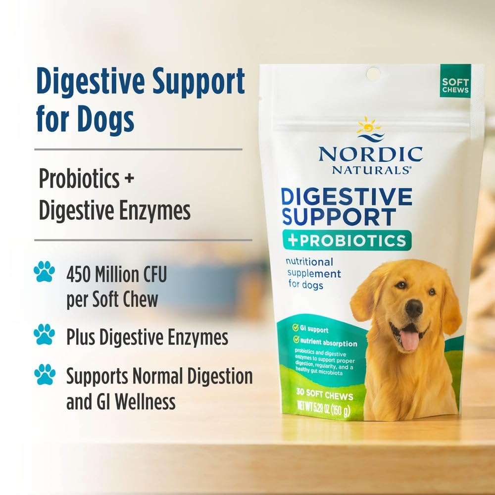 Nordic Naturals Pet Digestive Support with Probiotics, Pork Bone Broth Flavor - 30 Soft Chews - Nutritional Supplement for a Healthy Digestive System and GI Support - 30 Non-GMO Chews Nordic NaturalsBuy Supplements Australia