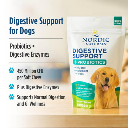 Nordic Naturals Pet Digestive Support with Probiotics, Pork Bone Broth Flavor - 30 Soft Chews - Nutritional Supplement for a Healthy Digestive System and GI Support - 30 Non-GMO Chews Nordic NaturalsBuy Supplements Australia