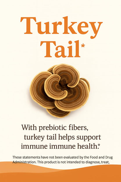Mushroom Complex Capsules with Lion’s Mane, Reishi, Cordyceps, Chaga & Turkey Tail – True Totality Mushroom Power – Immune, Energy & Focus Support – 90 Vegan Capsules True TotalityBuy Supplements Australia