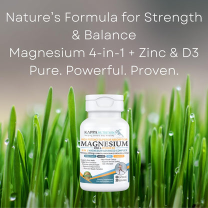 Kappa Nutrition Magnesium 4-in-1, 280mg Elemental Magnesium (Bisglycinate, Malate) + Zinc & Vitamin D3, Brain, Sleep, Energy, Muscle, Immune Support, 60 Vegan Capsules. KAPPA NUTRITIONBuy Supplements Australia