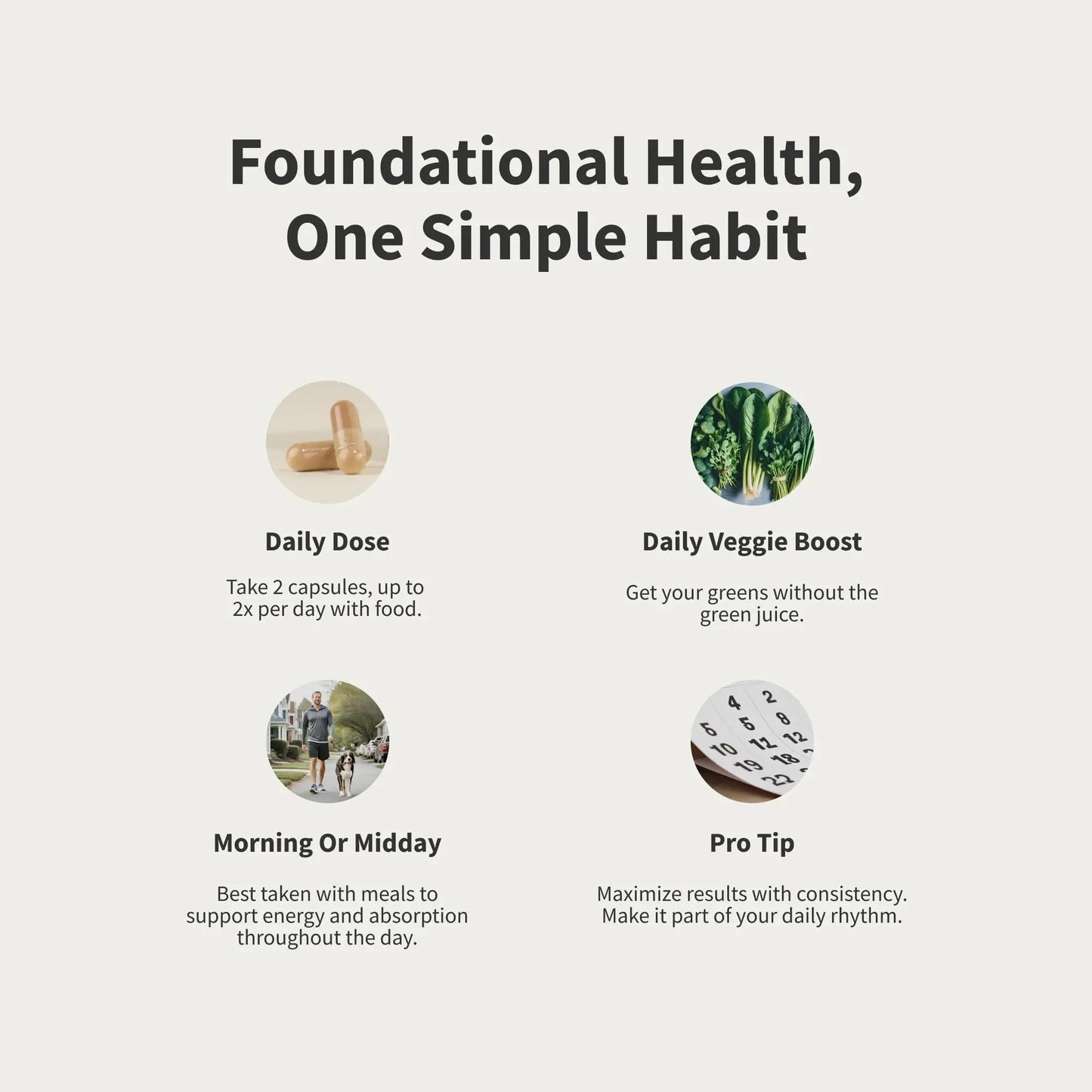 Snap Supplements Men's Multivitamins - Daily Vitamins & Minerals for Men - Vitamin D, B12, Zinc, Herbs & Vitamin C Snap Supplements