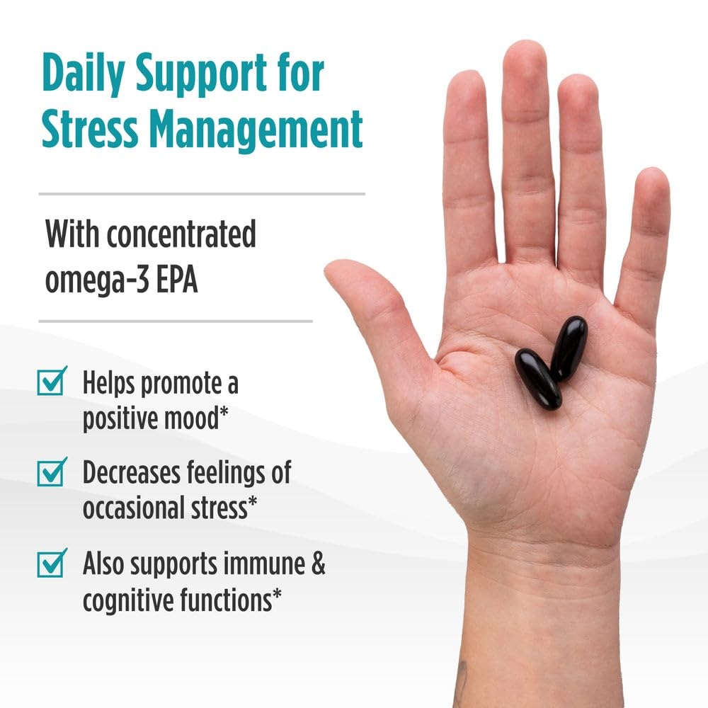 Nordic Naturals Mood Support Omega Blend - Unflavored - 60 Soft Gels - 1400 mg Omega-3 Supplement with EPA & DHA - Promotes Balanced Mood and Serenity - Non-GMO - 30 Servings Nordic NaturalsBuy Supplements Australia