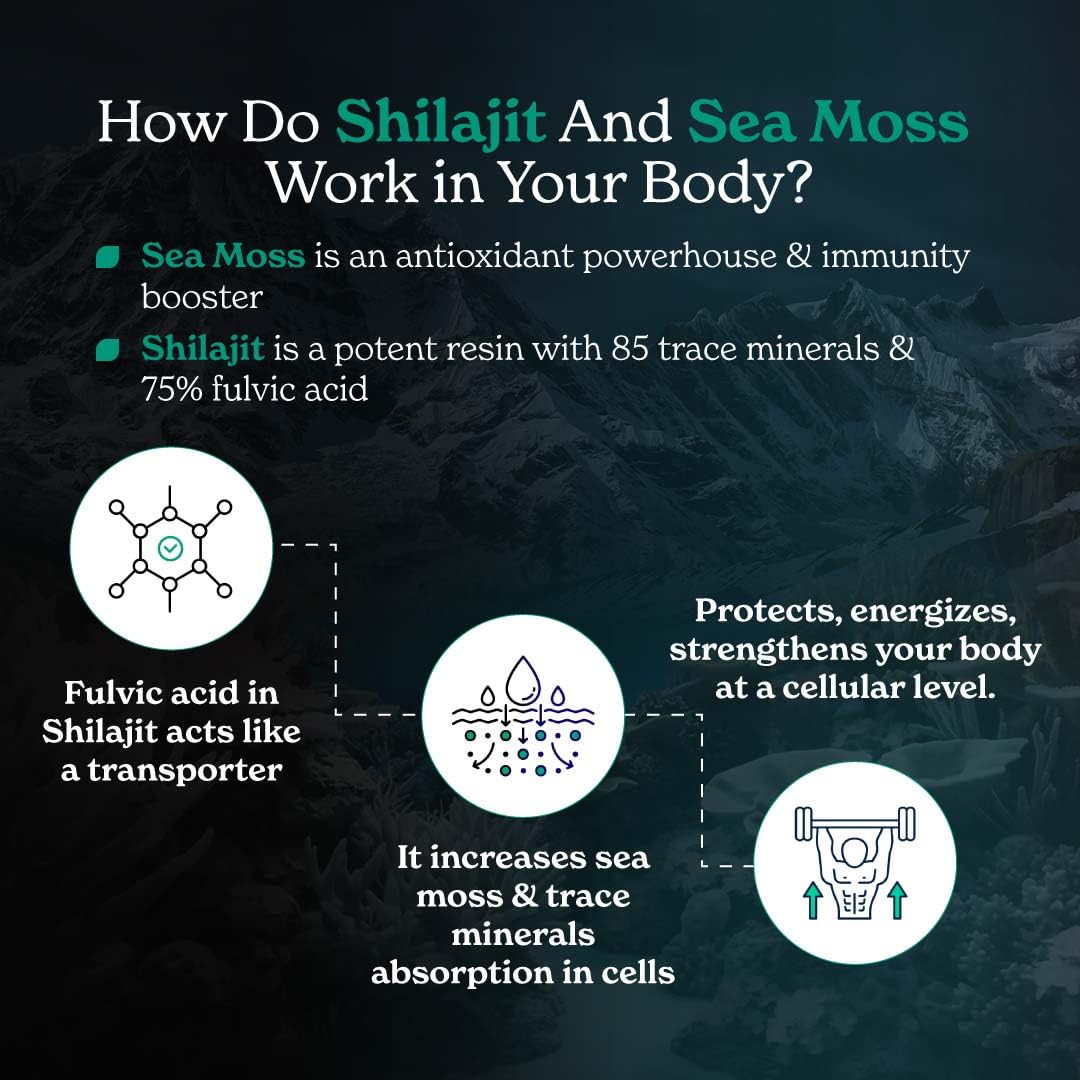 Better Alt Shilajit Sea Moss Capsules Pack of 2 with Ashwagandha & Black Pepper Extract with 85+ Essential Minerals & Antioxidants| Boosts Energy & Metabolism - 120 Servings, 240 Capsules Better AltBuy Supplements Australia