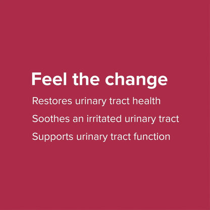 Vibrant Health, U.T. Vibrance Powder, Crisis Intervention for Urinary Tract Health, 10 Servings Vibrant HealthBuy Supplements Australia