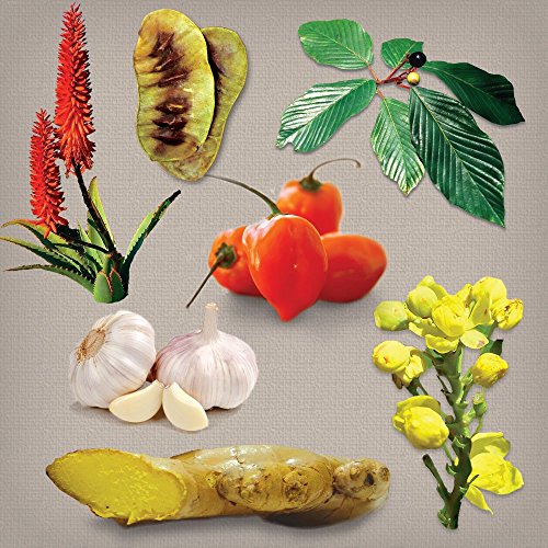 Dr. Schulze's Intestinal Formula #1 Colon Bowel Cleanse, 90 caps, 2 Count Dr. Schulze'sBuy Supplements Australia