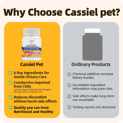 Cassiel Pet Bladder Supports Chews for Urinary Tract Health, Infection Treatments, Bladder Health, Dog UTI, Bladder Stones, Incontinence Support, Urinary Pain Relief for Cat & Dog 10 Chews (1 Bottle) Cassiel petBuy Supplements Australia