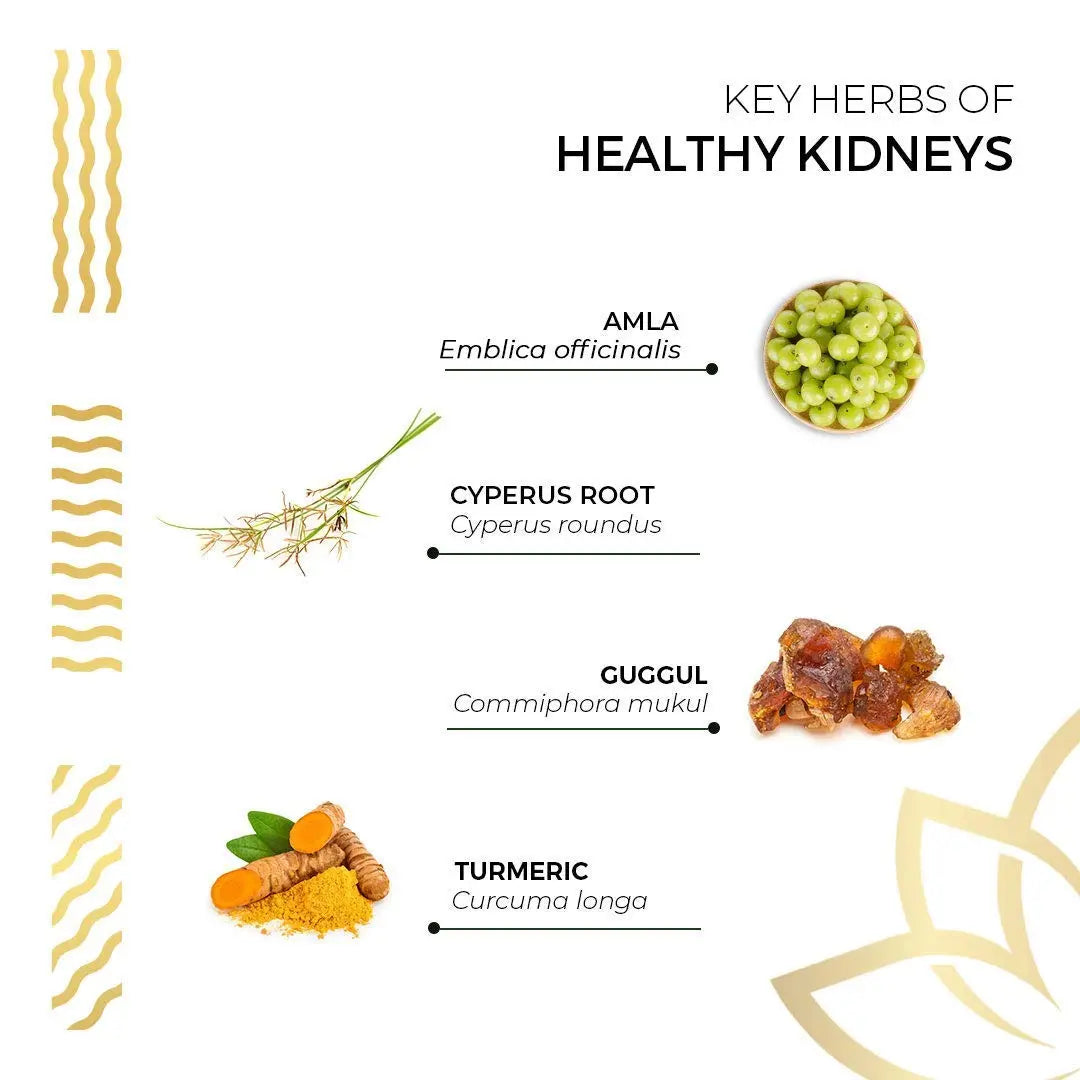 Kerala Ayurveda Healthy Kidney Herbal Tablets | Support Normal Kidney Function and Health | Kidney and Bladder Support | Urinary System Support - 90 Count Kerala AyurvedaBuy Supplements Australia