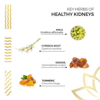 Kerala Ayurveda Healthy Kidney Herbal Tablets | Support Normal Kidney Function and Health | Kidney and Bladder Support | Urinary System Support - 90 Count Kerala AyurvedaBuy Supplements Australia