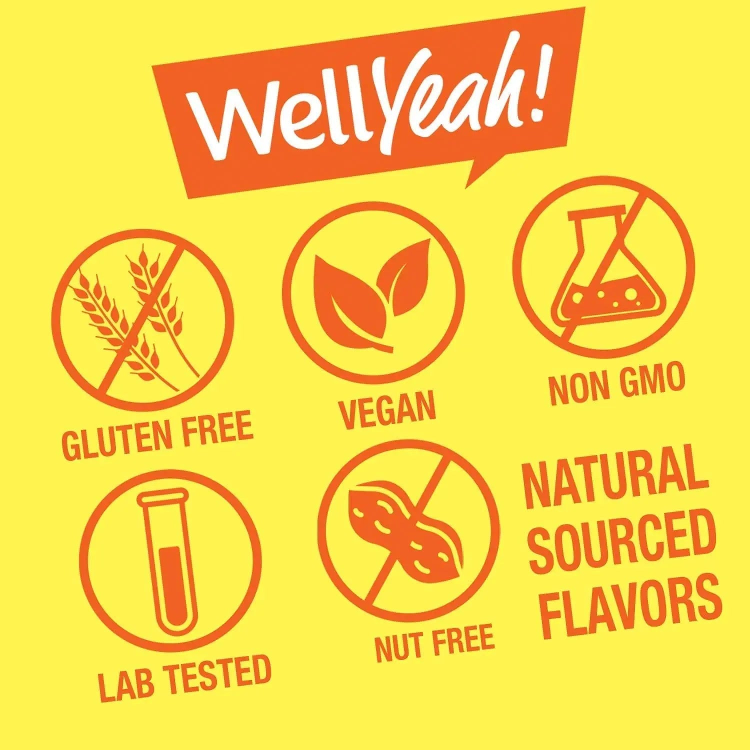 WellYeah Kids Multivitamin Gummies | Vitamin C, D3, E, A, B6, B12, Biotin, Zinc, Folic Acid, Iodine, and Niacin | Immune and Energy Support WellYeahBuy Supplements Australia