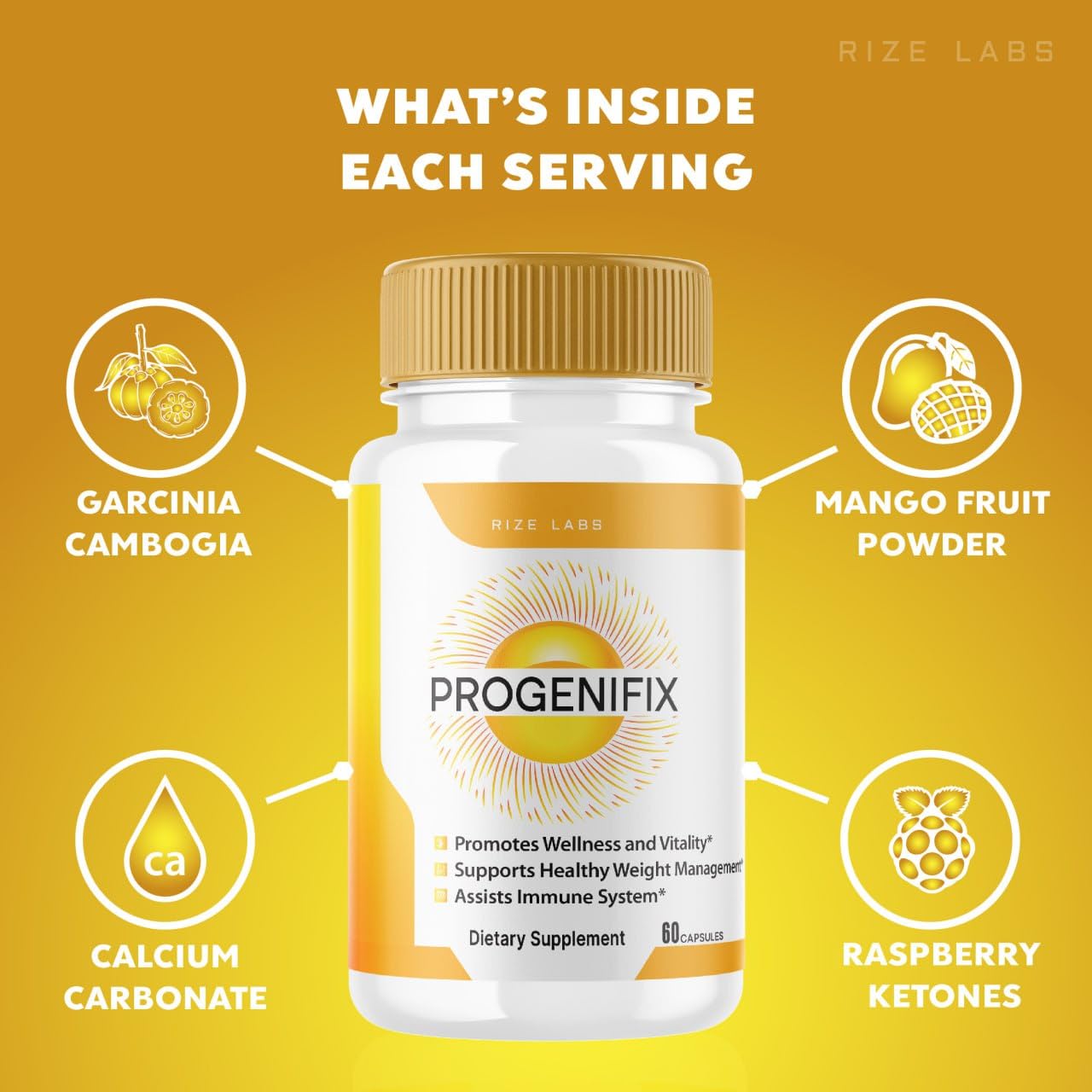 rize labs (2 Pack) Progenifix Weight Loss Supplement, Progenifix Capsules Total Body Wellness rize labsBuy Supplements Australia