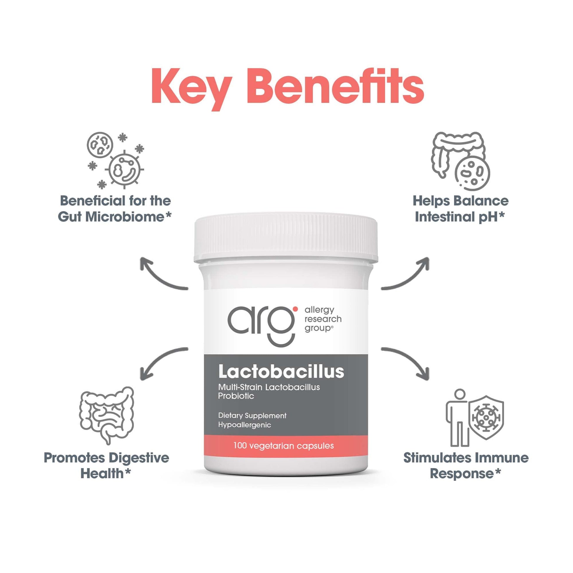 Allergy Research Group Lactobacillus Supplement - Probiotics for Men & Women, Digestive Health, Gut Health, Vegetarian Capsules - 100 Count Allergy Research GroupBuy Supplements Australia