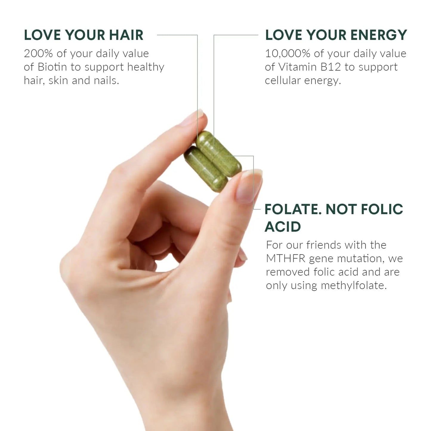 Nutritional Roots Multivitamin+, Award-Winning Plant-Based (Vegan) Multivitamin, Organic Vegetables & Herbs Nutritional Roots