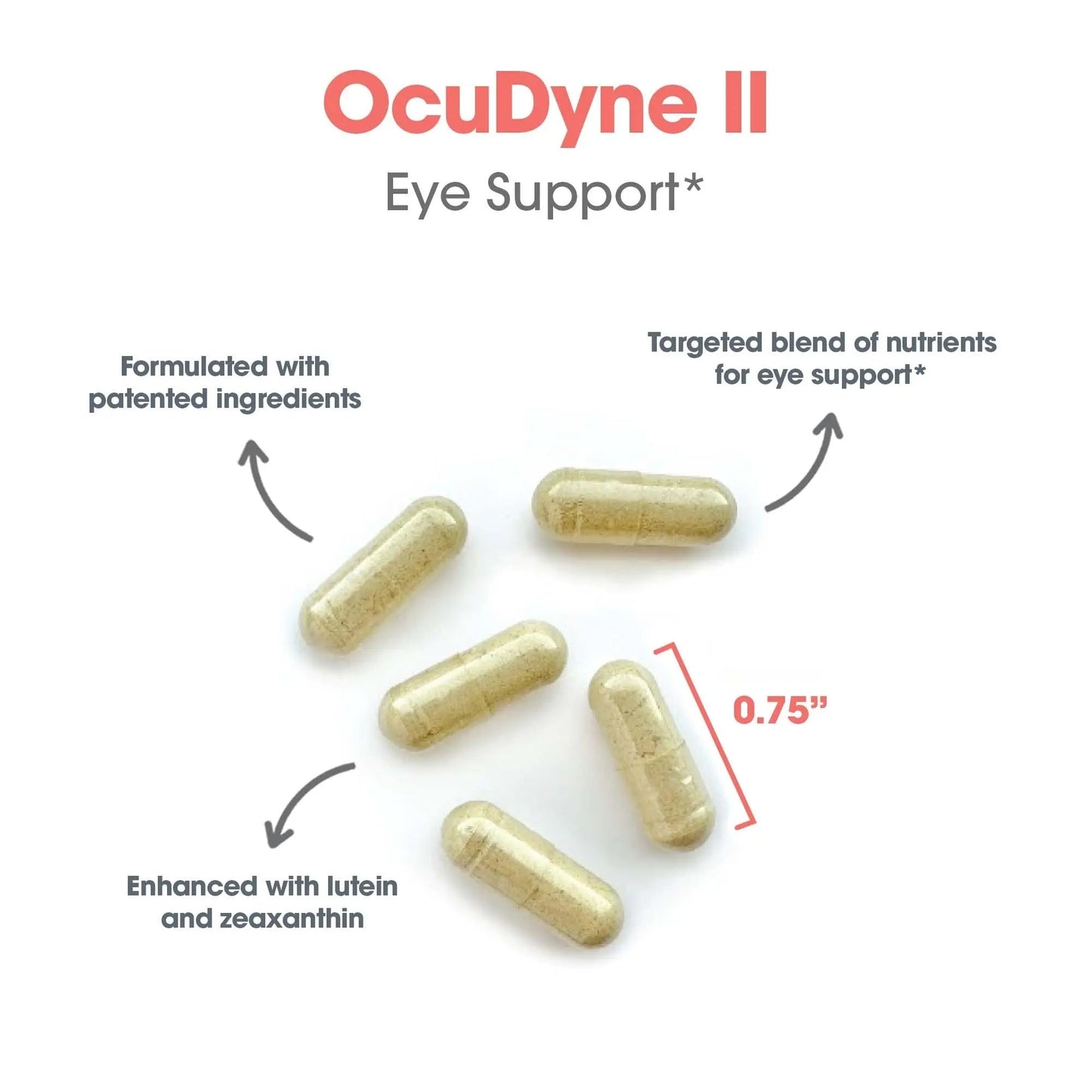 Allergy Research Group OcuDyne II Supplement - Eye Support Vitamins for Vision, Eye Health for Adults, Vision Support, Multivitamin Formula Allergy Research GroupBuy Supplements Australia