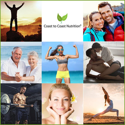 Coast to Coast Nutrition Cholesterol Support Supplement - Support Cardiovascular & Artery Performance, Target Bad LDL Levels & Plaque Calcium Buld-Up - Promote Circulation & Blood Flow - 60 Capsules Coast to Coast NutritionBuy Supplements Australia