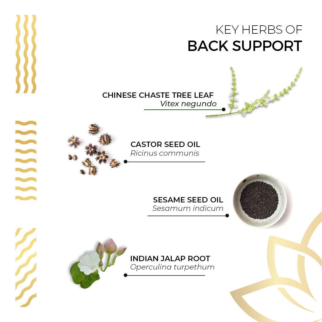 Kerala Ayurveda Back Support Herbal Capsules - Eases Occasional Discomfort of Lower Back & Supports Normal Movement of Spine, 90 Count Kerala AyurvedaBuy Supplements Australia