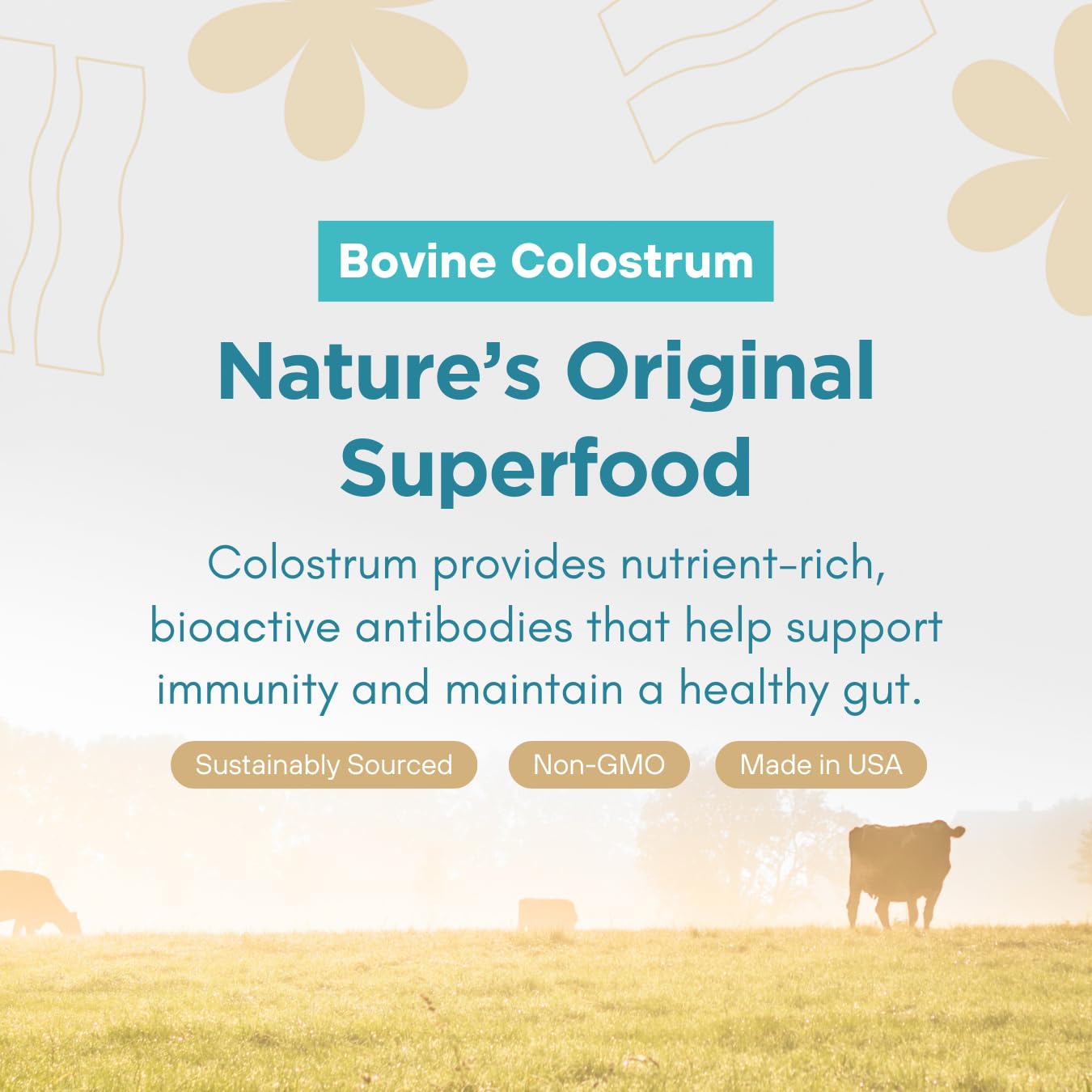 360 Nutrition Blends with Benefits Bovine Colostrum + Collagen Peptides Powder for Gut Health, Hair & Skin Beauty, Immune Support | Grass-Fed, No Added Sugar, Unflavored 6 oz 360 NutritionBuy Supplements Australia