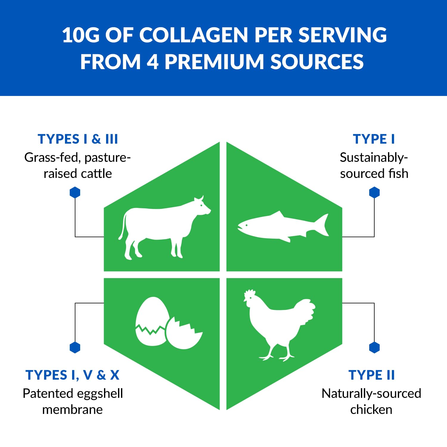 BioTrust Collagen Powder with Turmeric – 5 Types (I, II, III, V, X) + Turmeric BioTrustBuy Supplements Australia