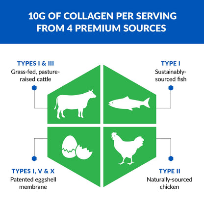 BioTrust Ageless Multi Collagen Protein Powder – 5 Collagen Types (I, II, III, V, X) BioTrustBuy Supplements Australia