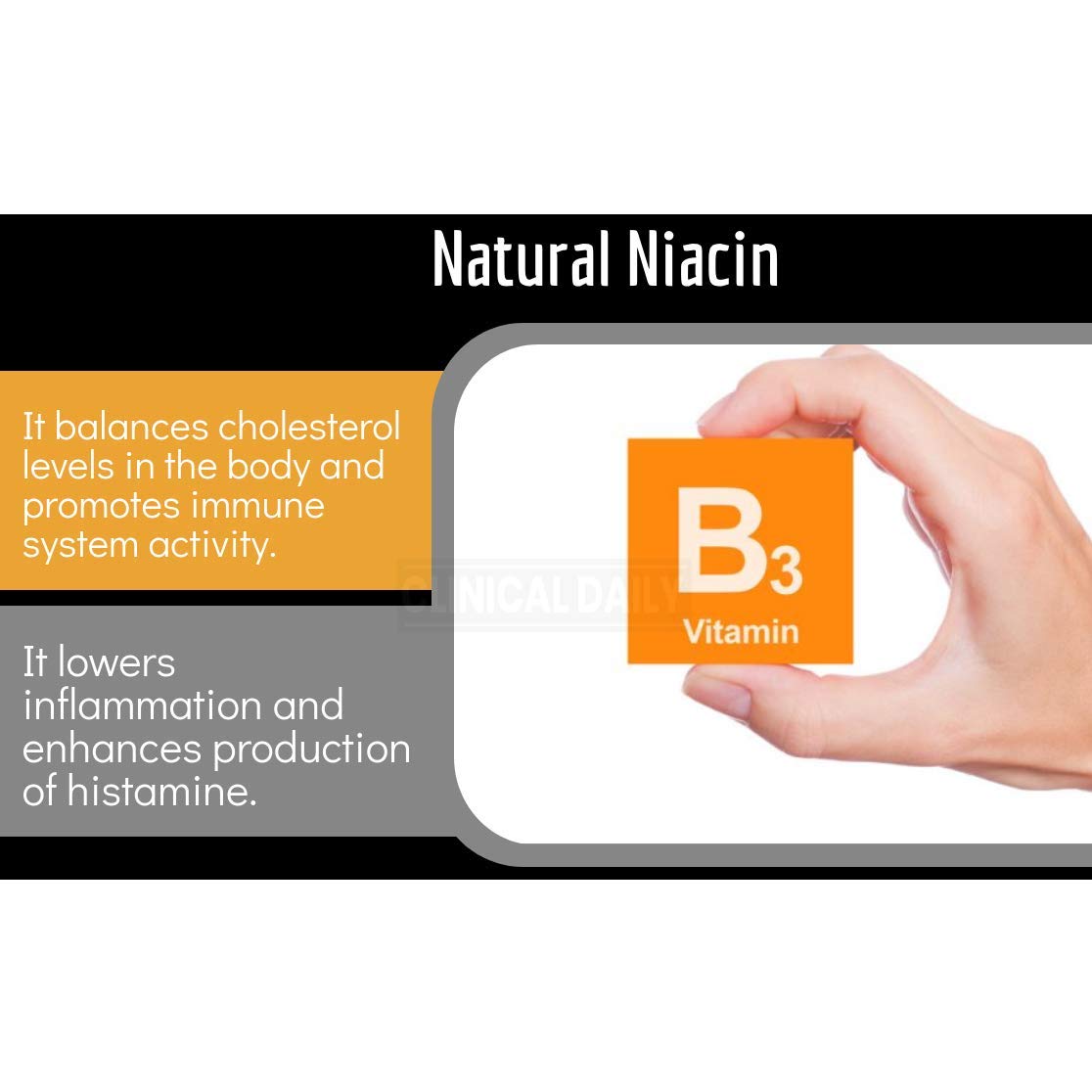 Clinical Daily Blood Circulation Supplements. Butchers Broom, Horse Chestnut, Hawthorn Clinical DailyBuy Supplements Australia