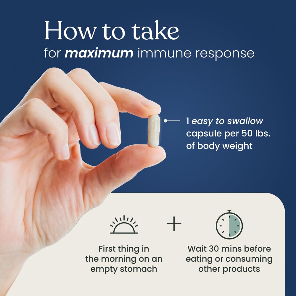 Better Way Health™ - Advanced Immune Readiness - Highly Purified 1,3/1,6 Beta Glucan 500 - Clinically Tested Immune Defense - 500mg/60 Capsules (Pack of 1) Better Way HealthBuy Supplements Australia