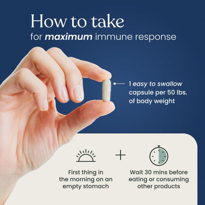 Better Way Health™ - Advanced Immune Readiness - Highly Purified 1,3/1,6 Beta Glucan 500 - Clinically Tested Immune Defense - 500mg/60 Capsules (Pack of 1) Better Way HealthBuy Supplements Australia
