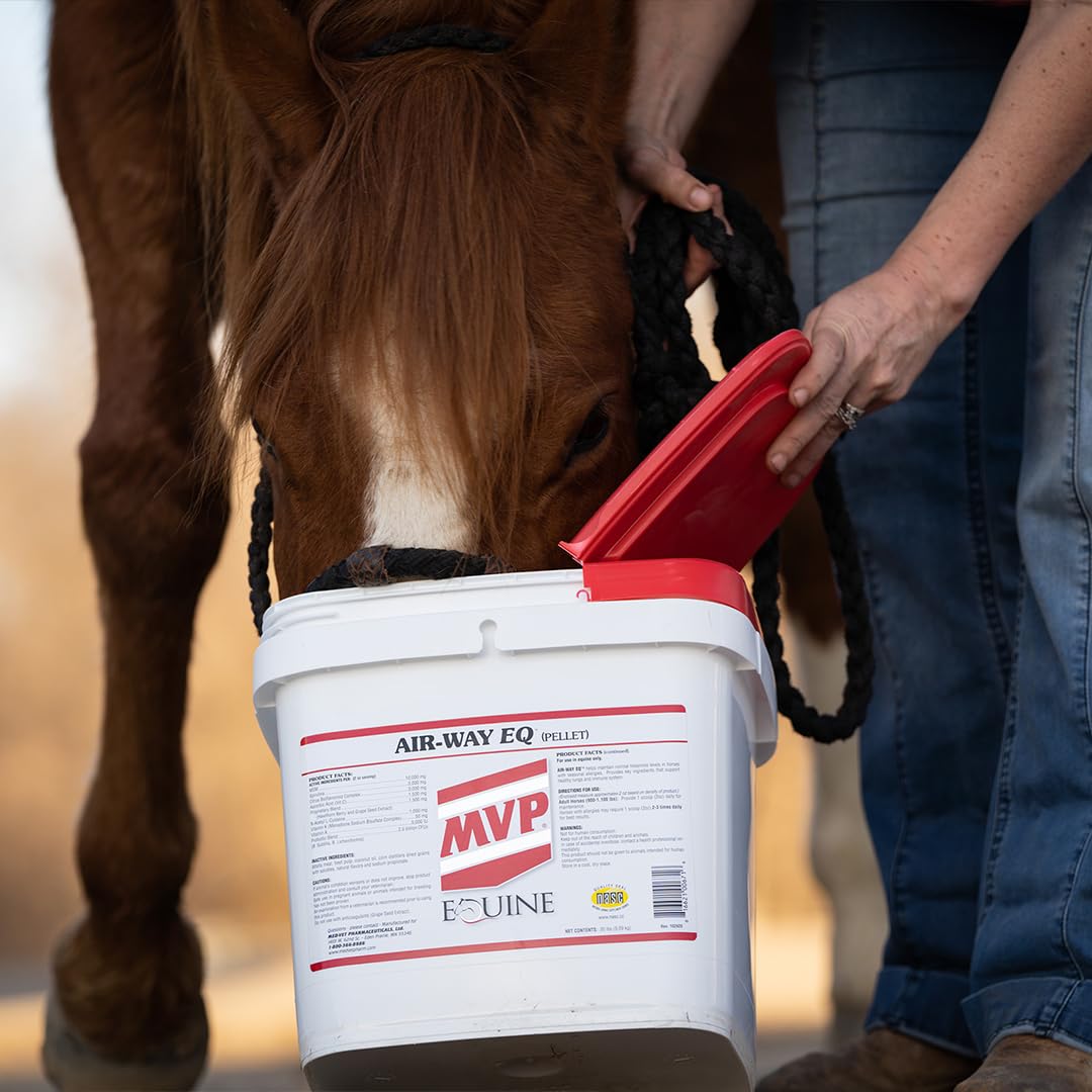MVP Air-Way EQ Supports Healthy Lung Function and Seasonal Allergy Support in Horses, 5lb - 40 Servings MVPBuy Supplements Australia