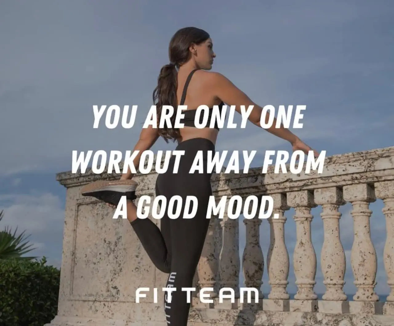 Fitteam Fit 30 Individual Sticks (30 Day Supply) New Improved Formula FitteamBuy Supplements Australia