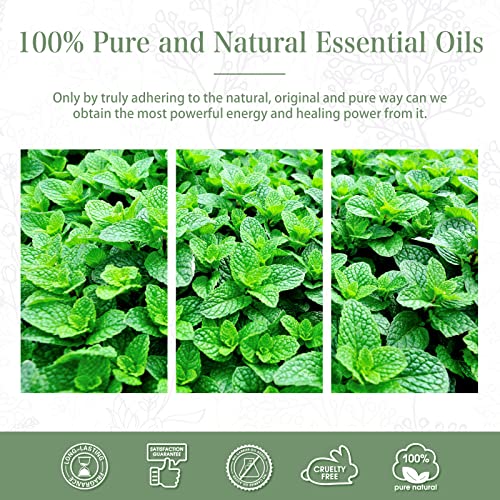 PHATOIL Spearmint Essential Oil 100ML, Pure Premium Grade Spearmint Essential Oils PHATOILBuy Supplements Australia